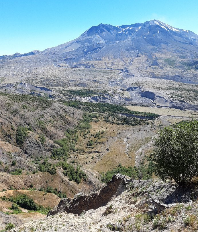 Mount St. Helens National Volcanic Monument景点图片