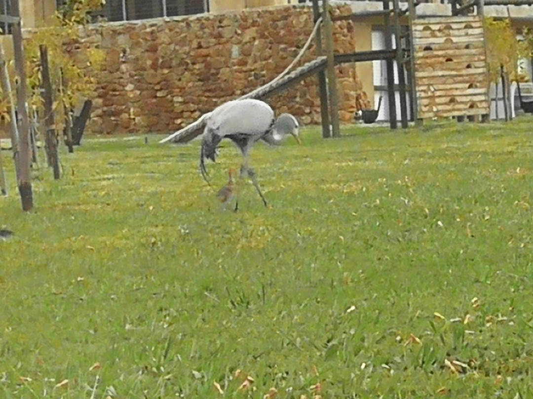 Lord's Wines-McGregor必去景点