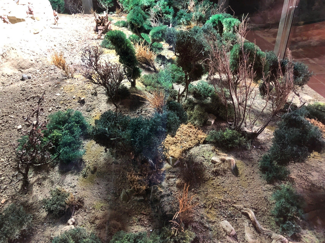 Museo Sa Corona Arrubia-Villanovaforru必去景点