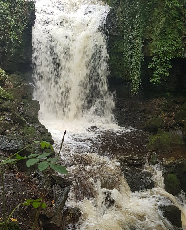 Wensley Waterfall景点图片