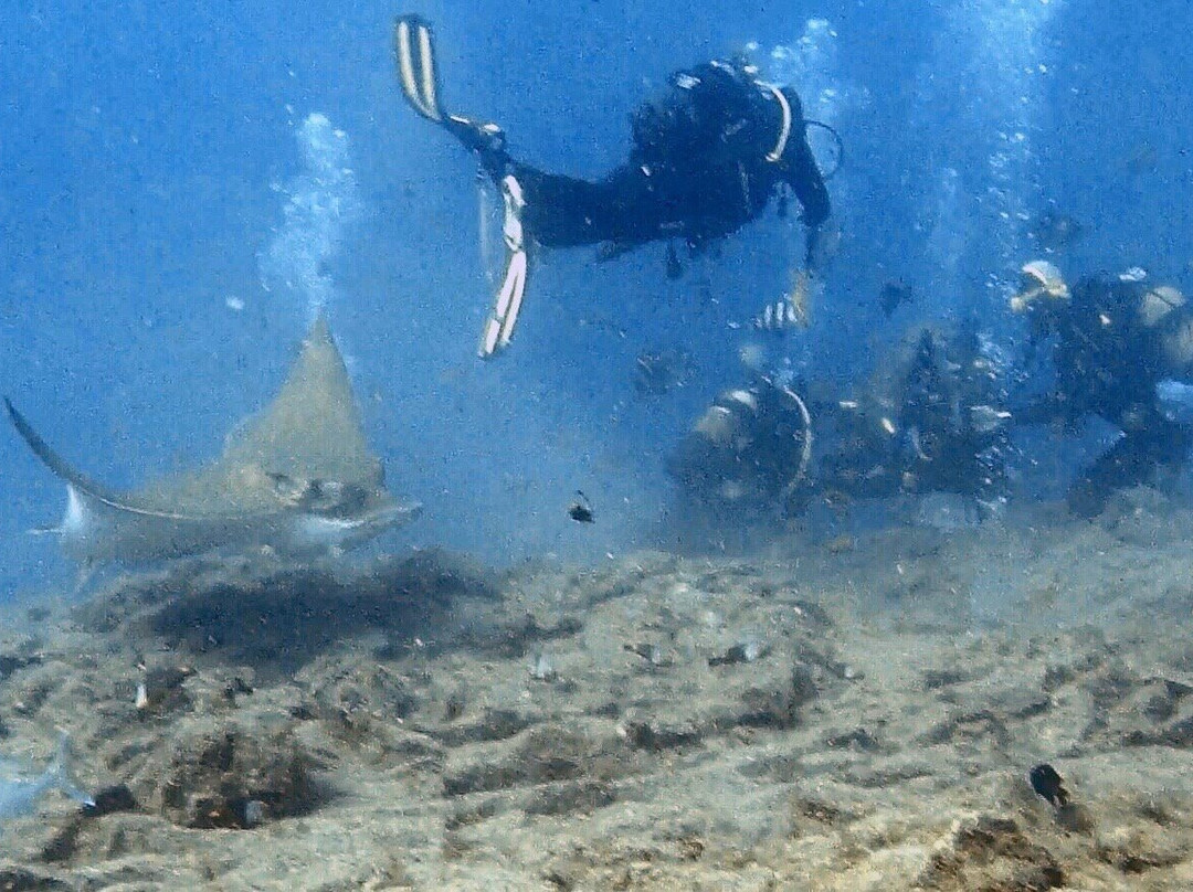 Buceo Tenerife-拉斯加勒塔斯必去景点