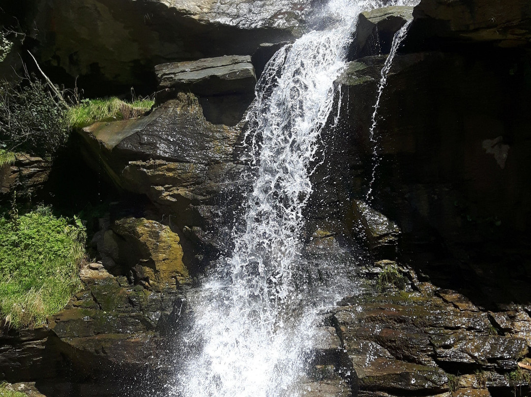 Lago Covel景点图片