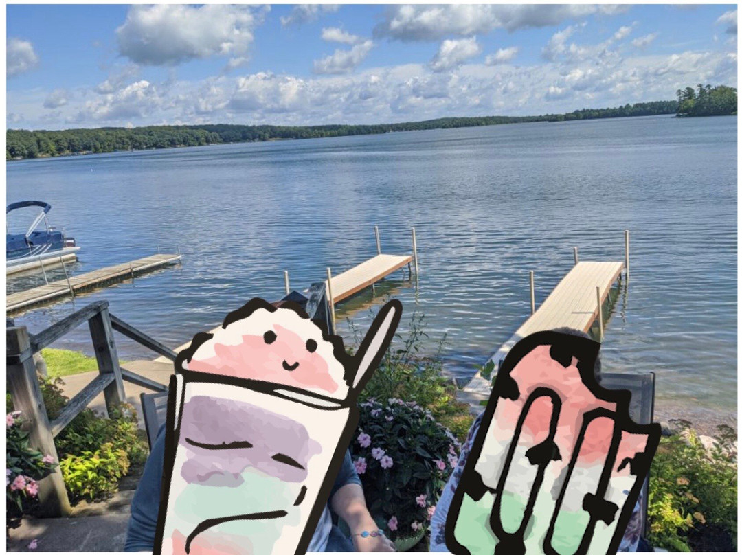 The Pioneer On Long Lake