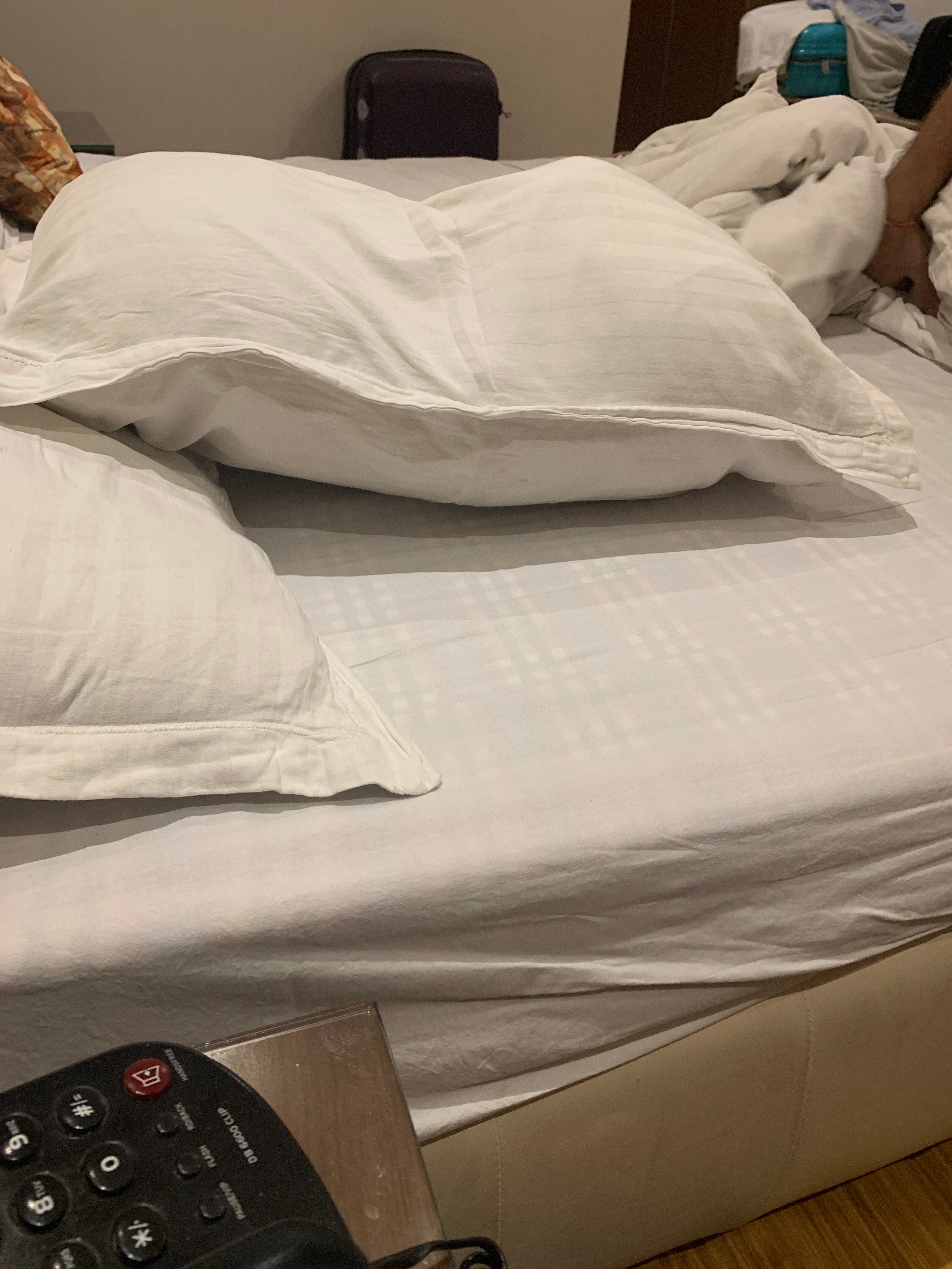 Hotel Chandigarh Beckons-官方