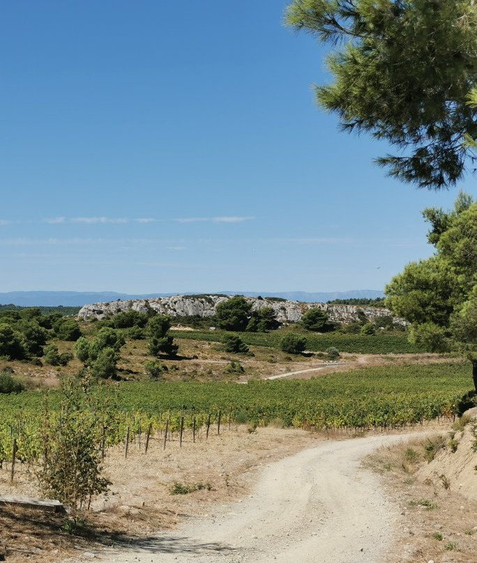 Domaine de la Ramade主图