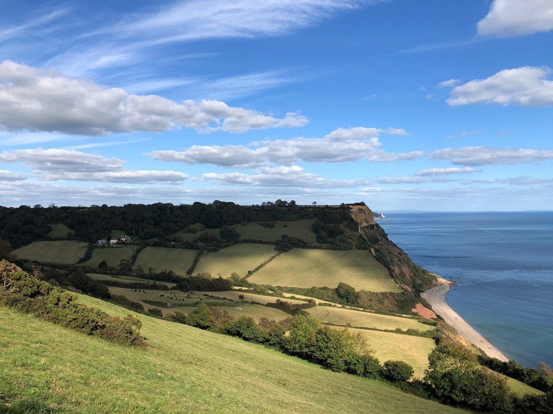 Farmhouse Cottage Bed and Breakfast主图