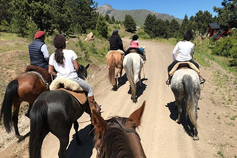 Xperience by Horse