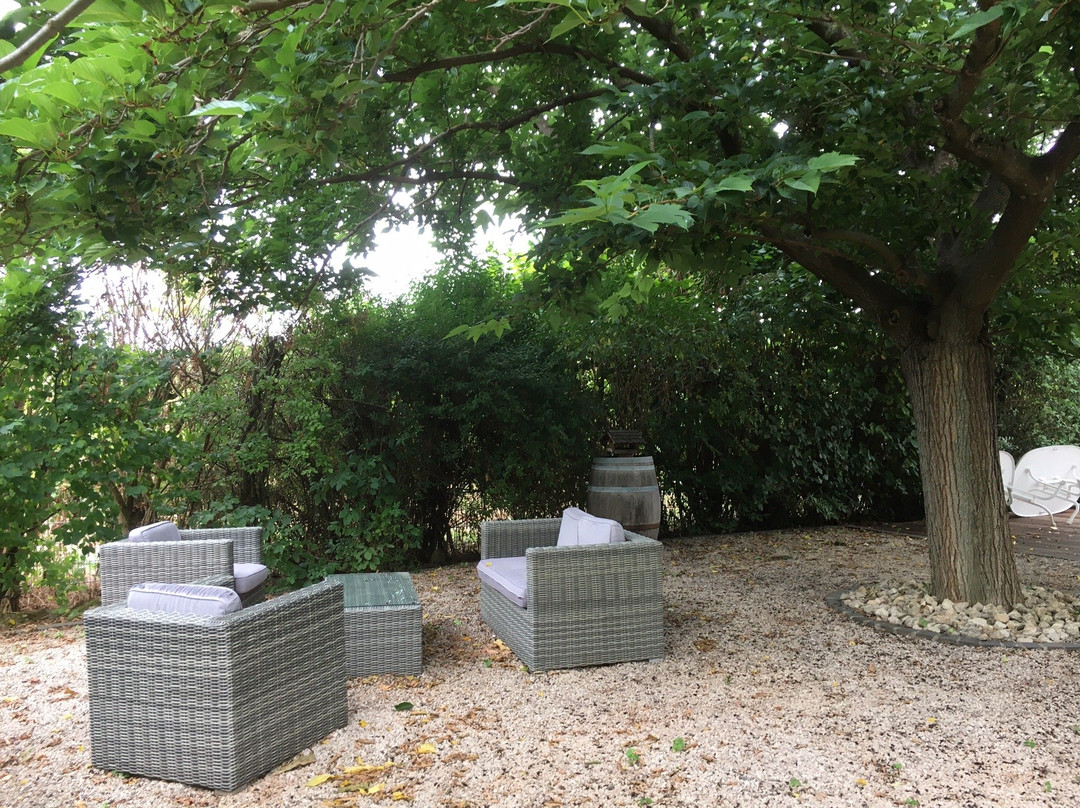 Weingut und Gästehaus Volker Schmitt主图