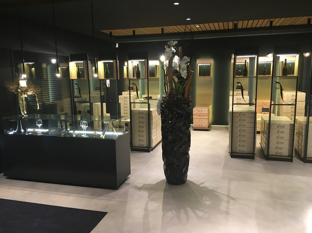 DOMAINE NADINE FERRAND景点图片