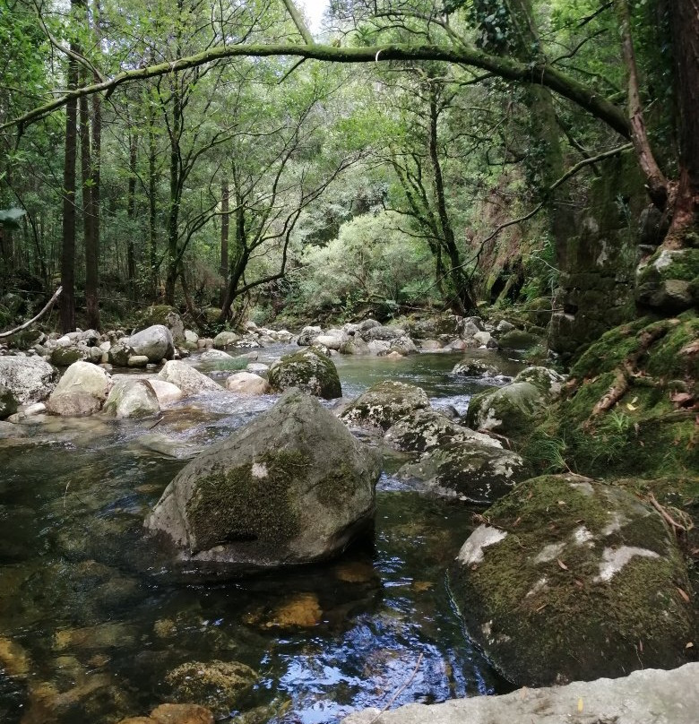 Piscinas naturales del Rio Pedras景点图片