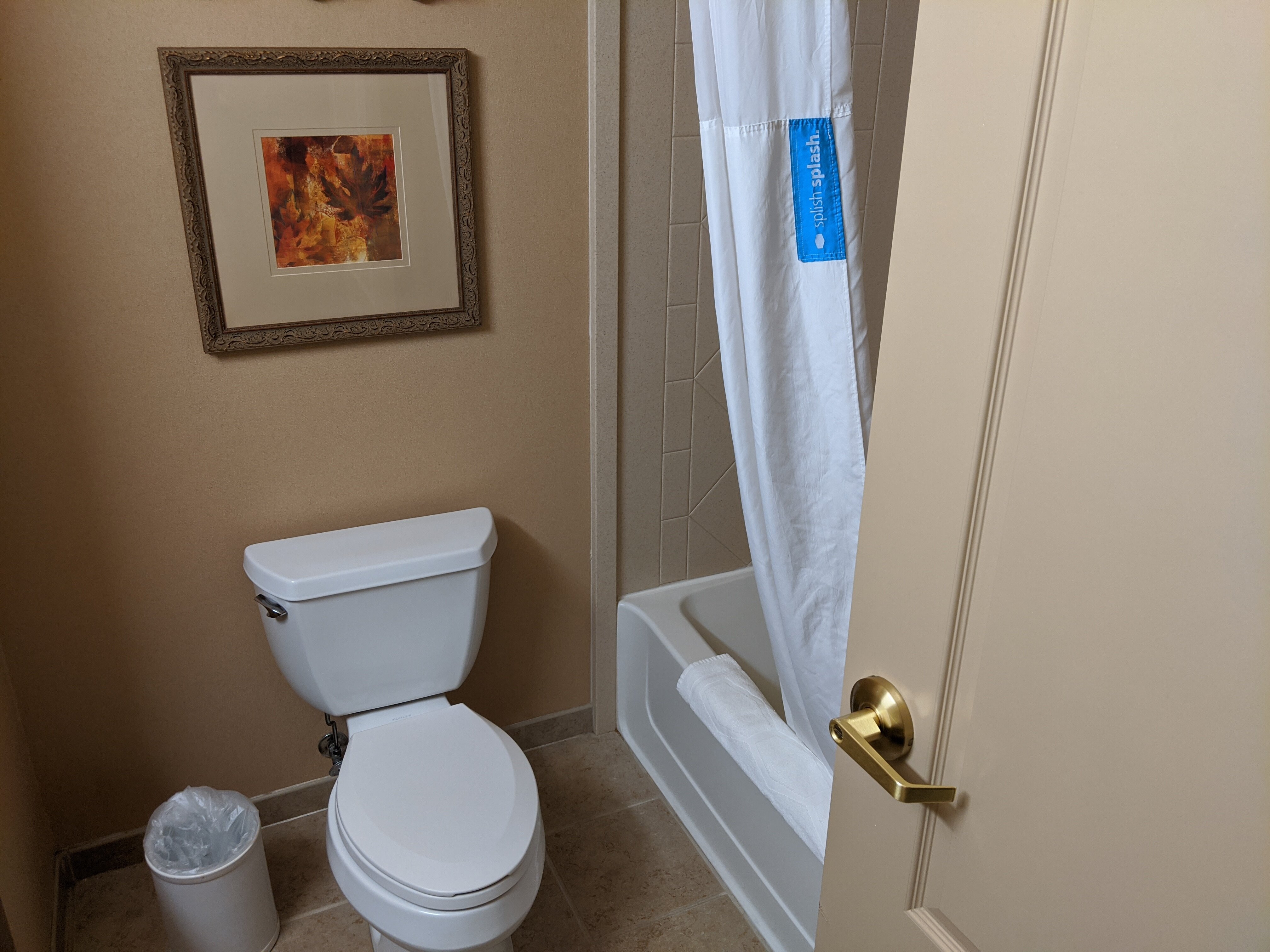 Hampton Inn & Suites Mountain Home-浴室