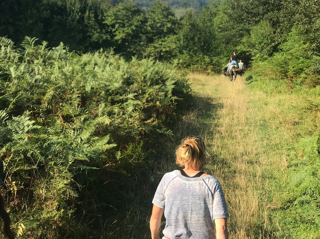 彻尔文别墅酒店主图