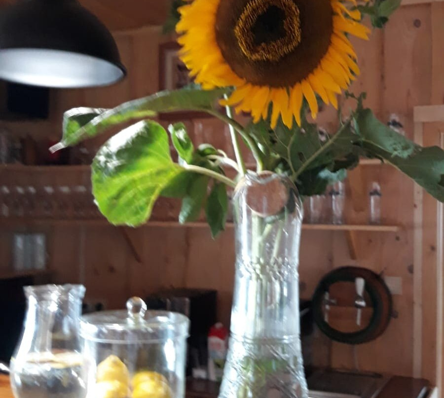 Penzion U Dvou Studni