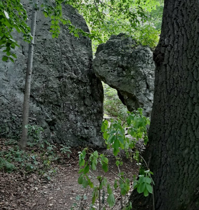 Smolen Castle Ruins景点图片