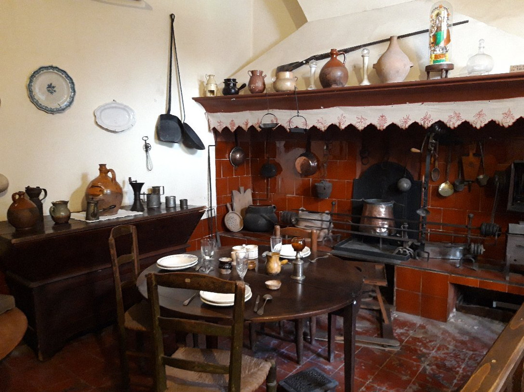 Musee des Comtes de Provence景点图片
