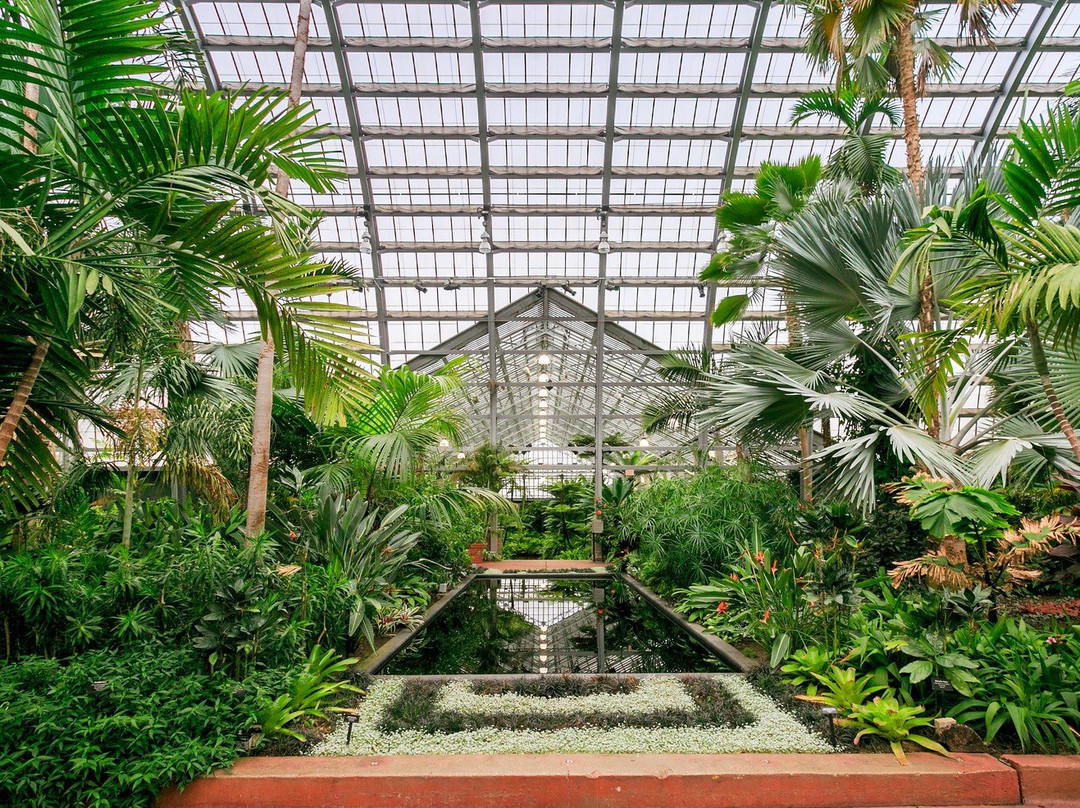 芝加哥旅游景点-加菲尔植物园