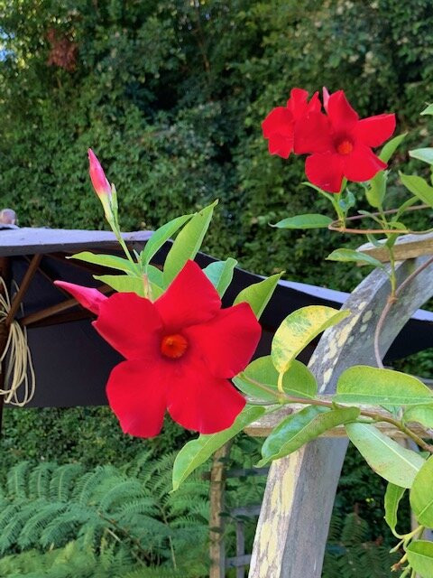 辛普森之家酒店主图