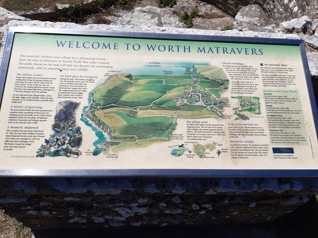St Aldhelms Head - South West Coast Path walk-Worth Matravers必去景点