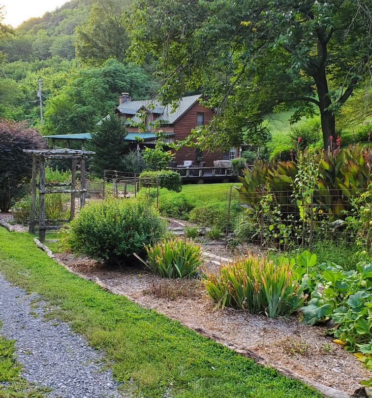 Butterfly Hollow - A Hidden Retreat主图