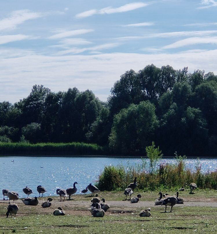 Colwick Country Park-Colwick必去景点