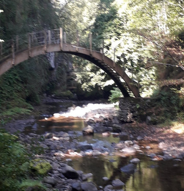 Gorges de la Jordanne-Saint-Cirgues-de-Jordanne必去景点