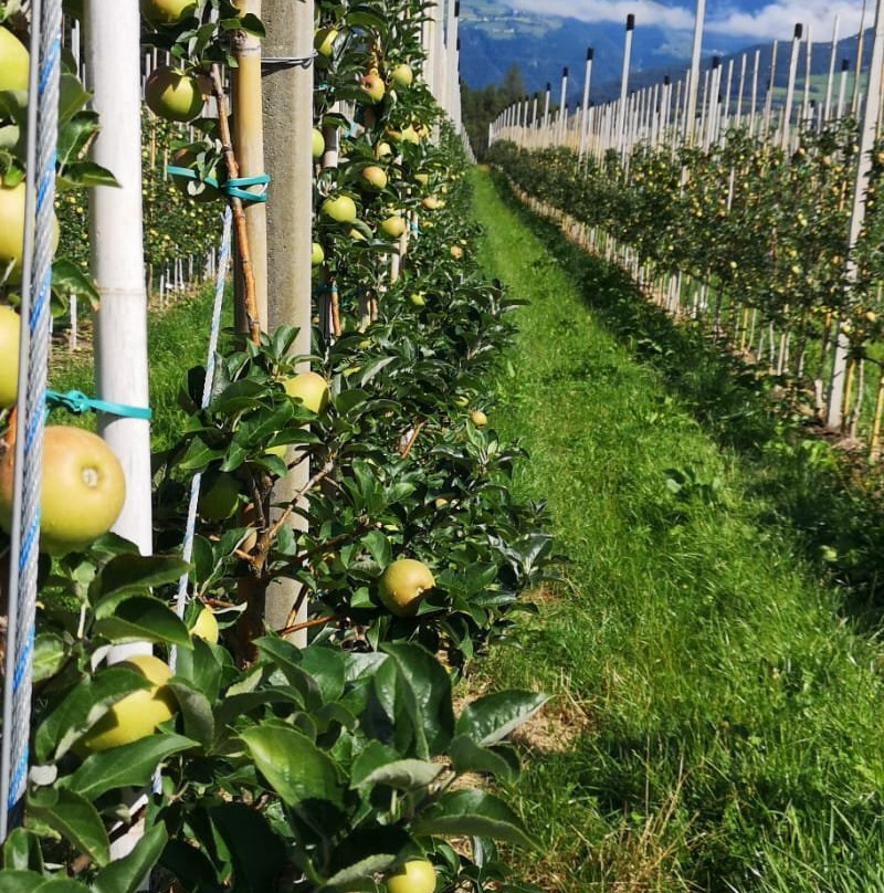 Sentiero della mela-Naz-Sciaves必去景点