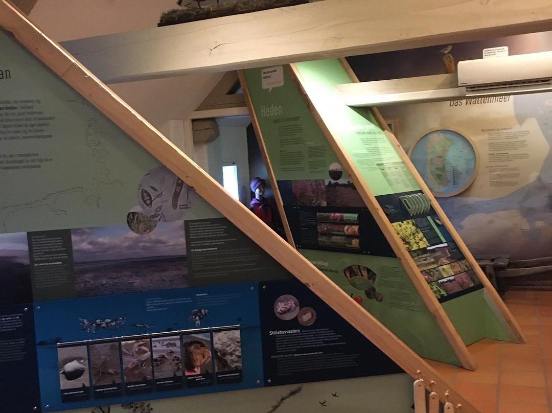 Naturcenter Tonnisgaard景点图片