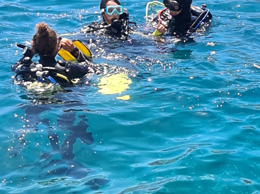 Scubanana Dive Center-圣克鲁斯-德特内里费必去景点