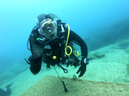 Dupin Dive Centre-科尔丘拉镇必去景点