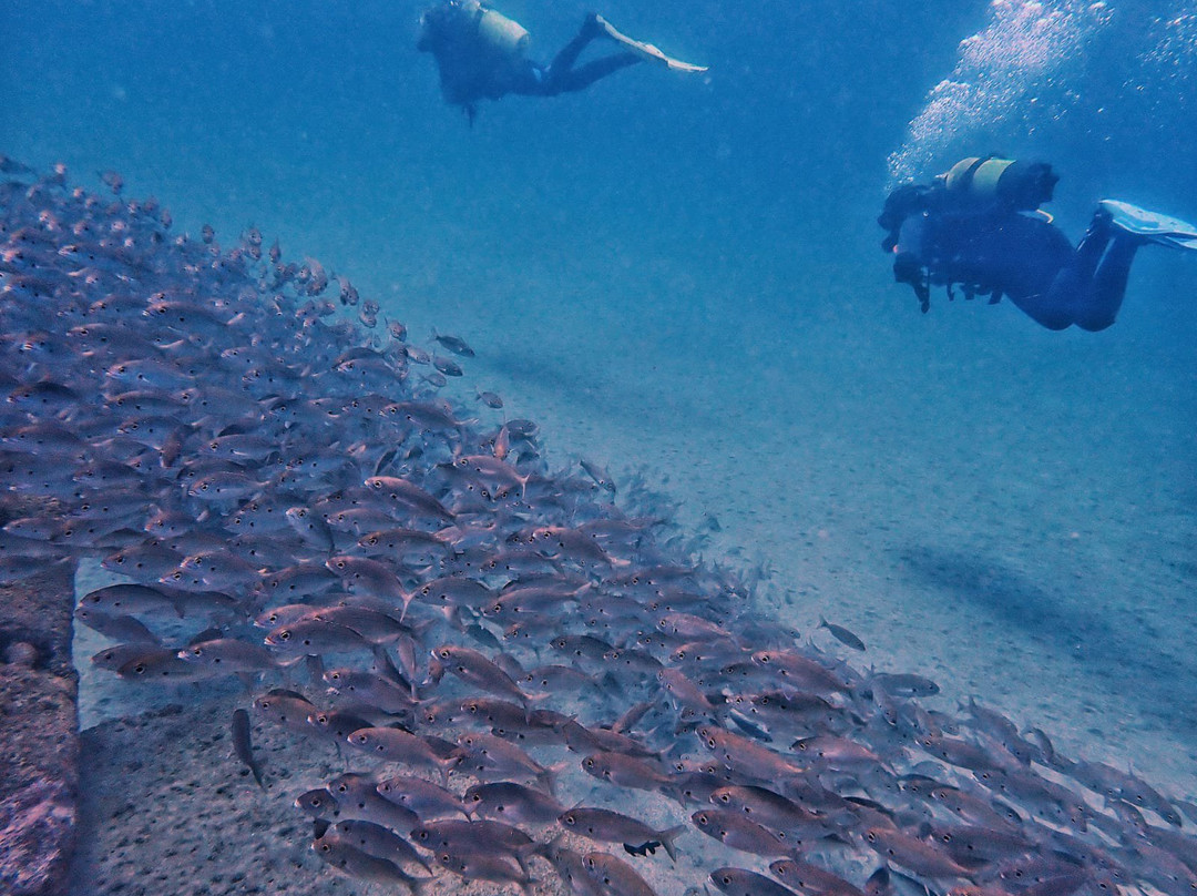 Buceo Norte景点图片