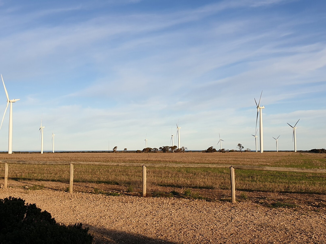 Wattle Point Wind Farm-Edithburgh必去景点