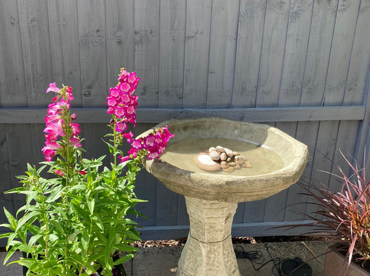 natural-light-吉尔福德必去景点