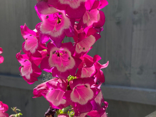 natural-light-吉尔福德必去景点