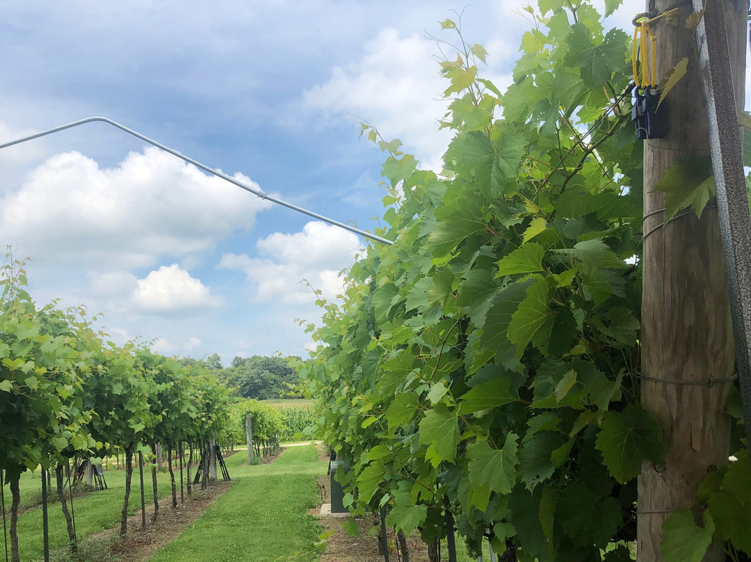 Staller Estate Winery-Delavan必去景点