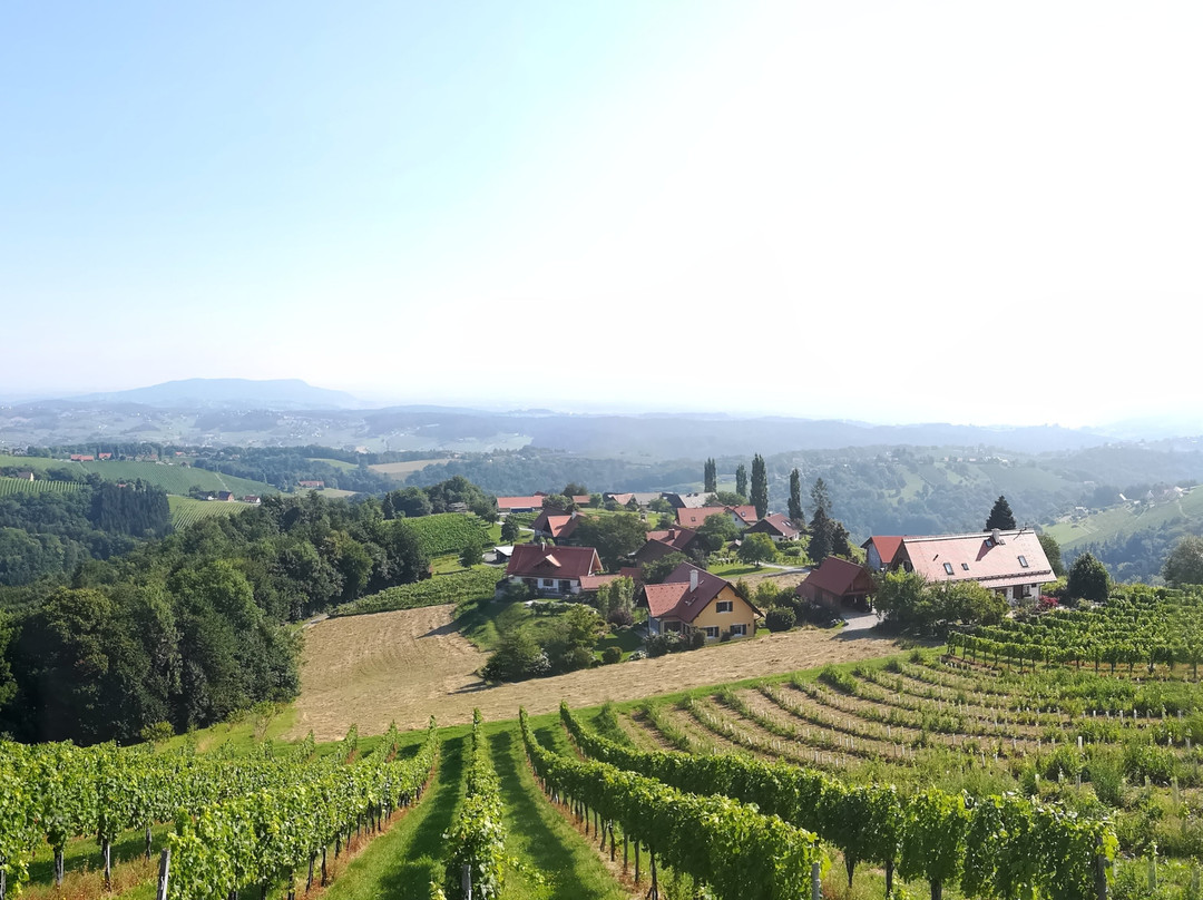 Sausaler Weinstraße-Kitzeck im Sausal必去景点