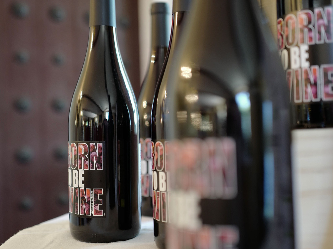 Château Ollieux Romanis景点图片