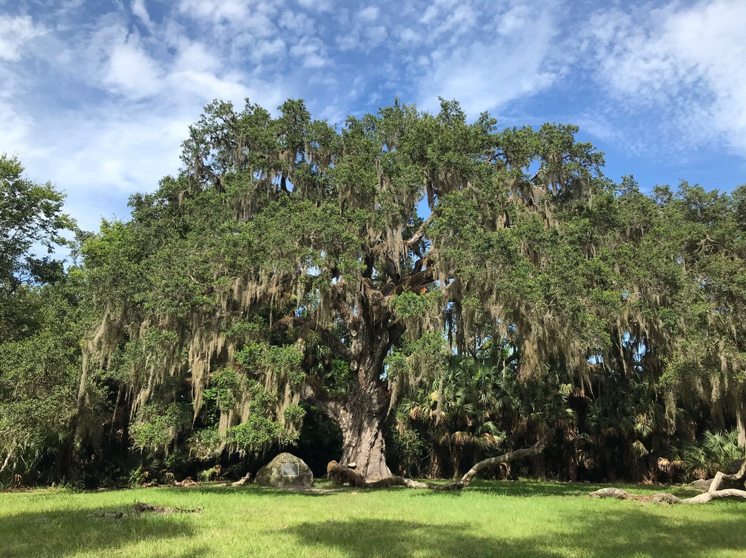 Bulow Creek State Park-奥蒙德海滩必去景点