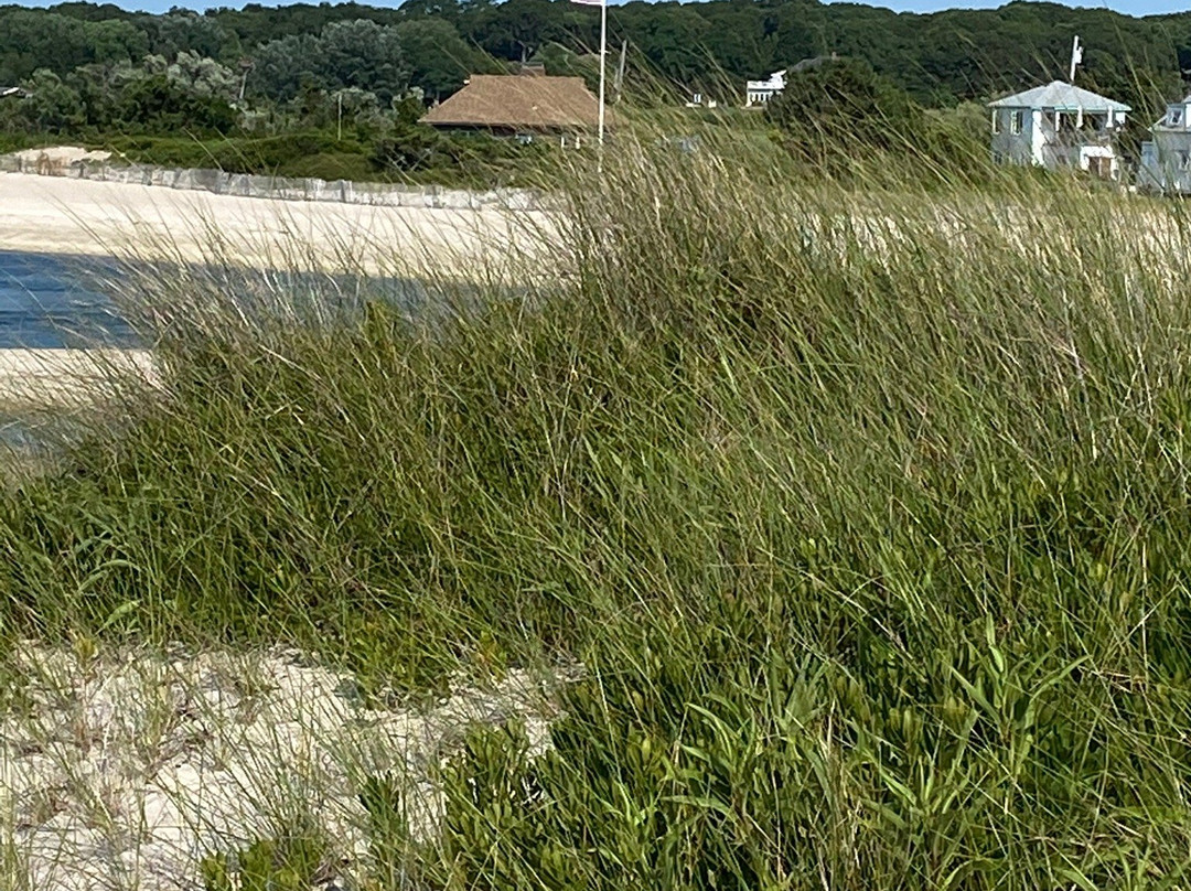 North Sea Beach景点图片