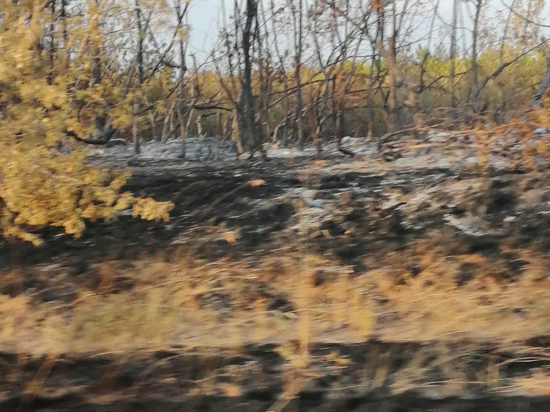 Natural Fresh Water Hot Spring-Yarovoye必去景点