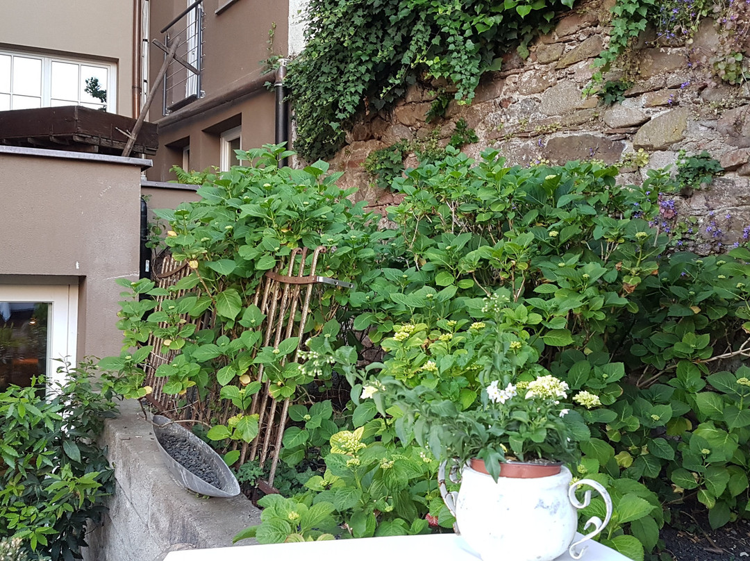 Hotel Die Reichsstadt主图