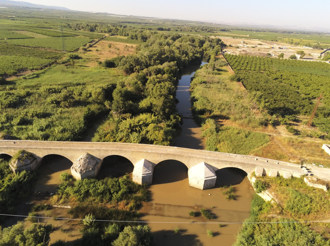 Ponte Romano sul Fiume Ofanto景点图片