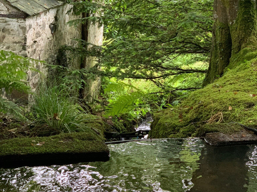 Docton Mill Gardens & Tea Rooms景点图片