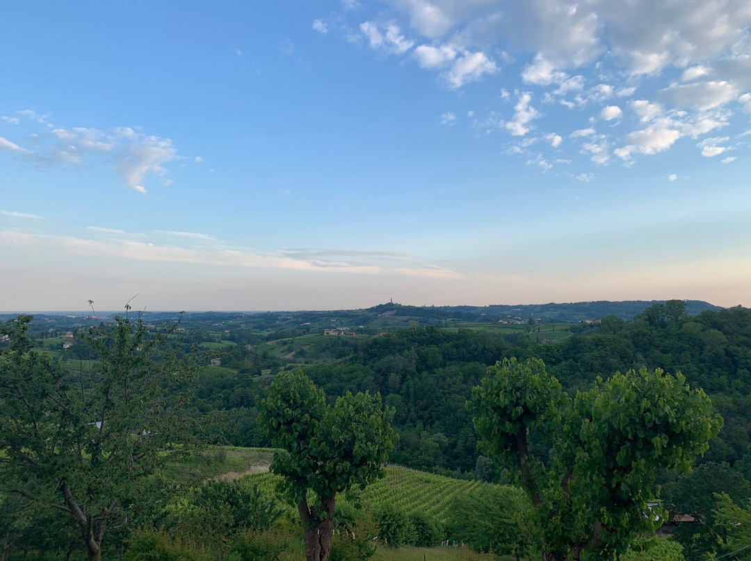 Agriturismo Le Colline Cozzuolo主图