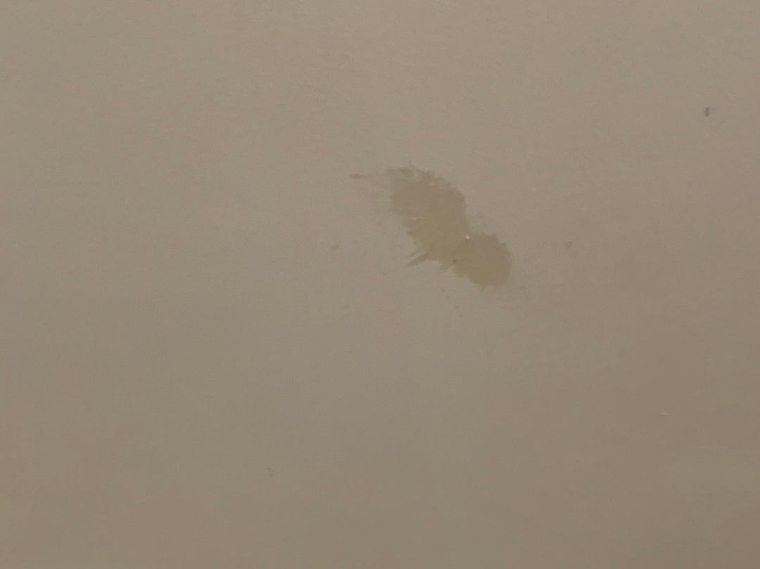 帝国户撒酒店主图