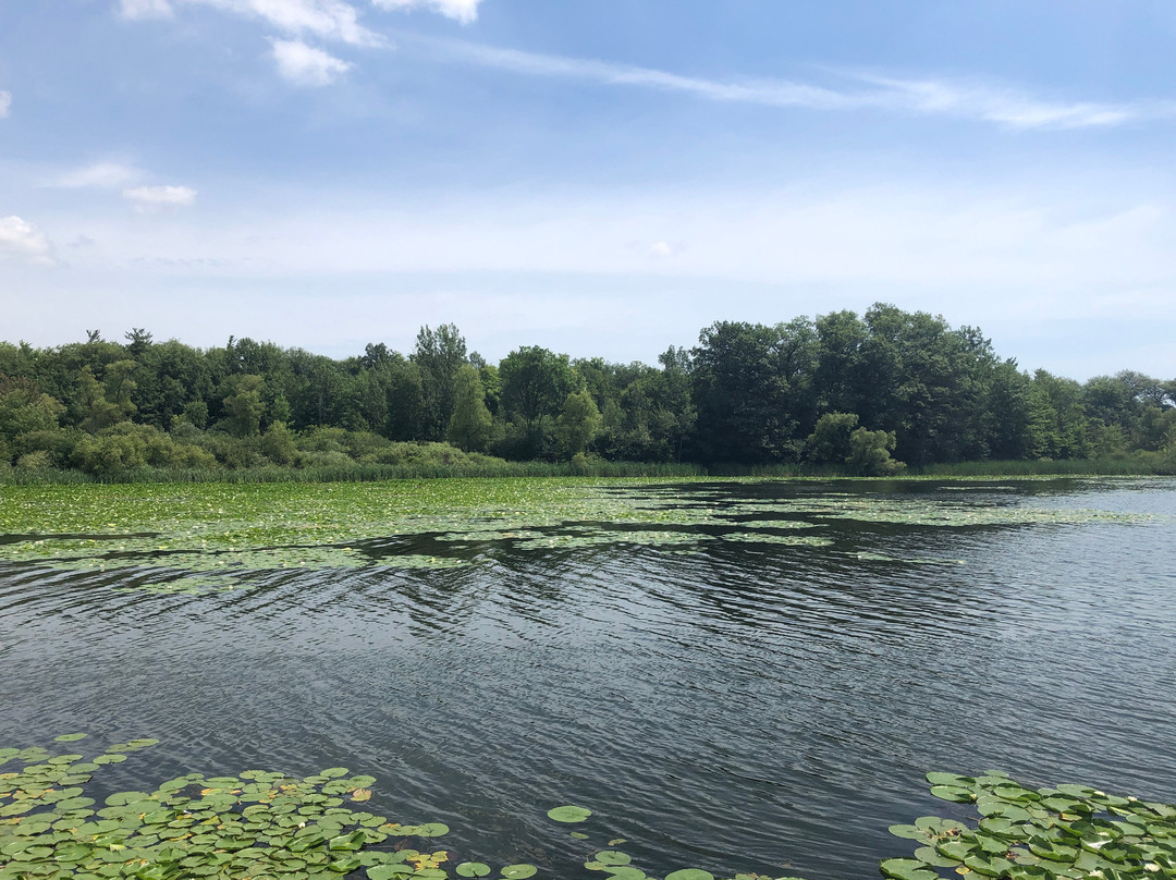 Heart Lake Conservation Park-布兰普敦必去景点