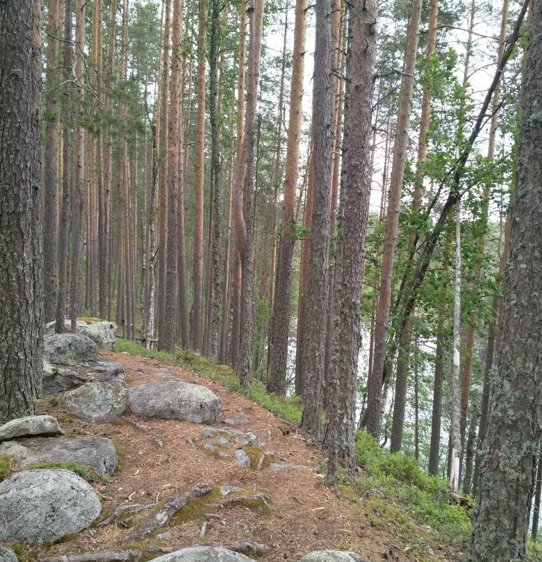 Petkeljärven Kansallispuisto-Ilomantsi必去景点