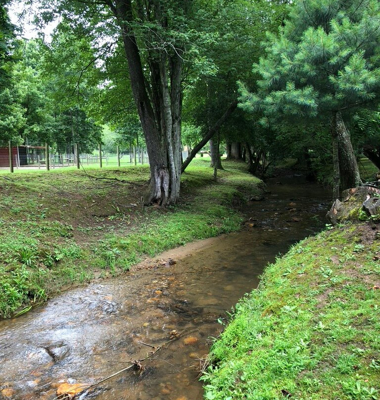 Cobb Creek Cabins主图