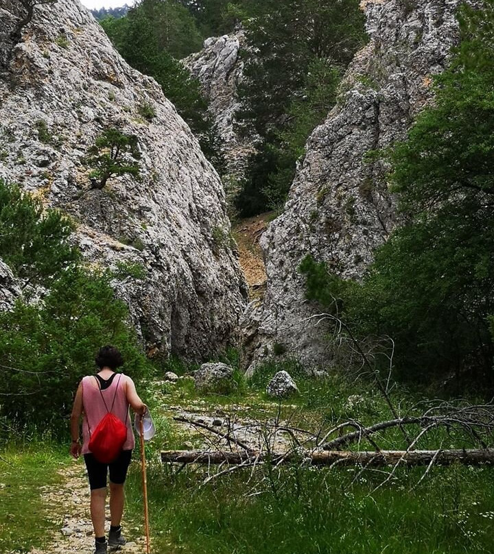 Nacimiento del rio Jucar景点图片