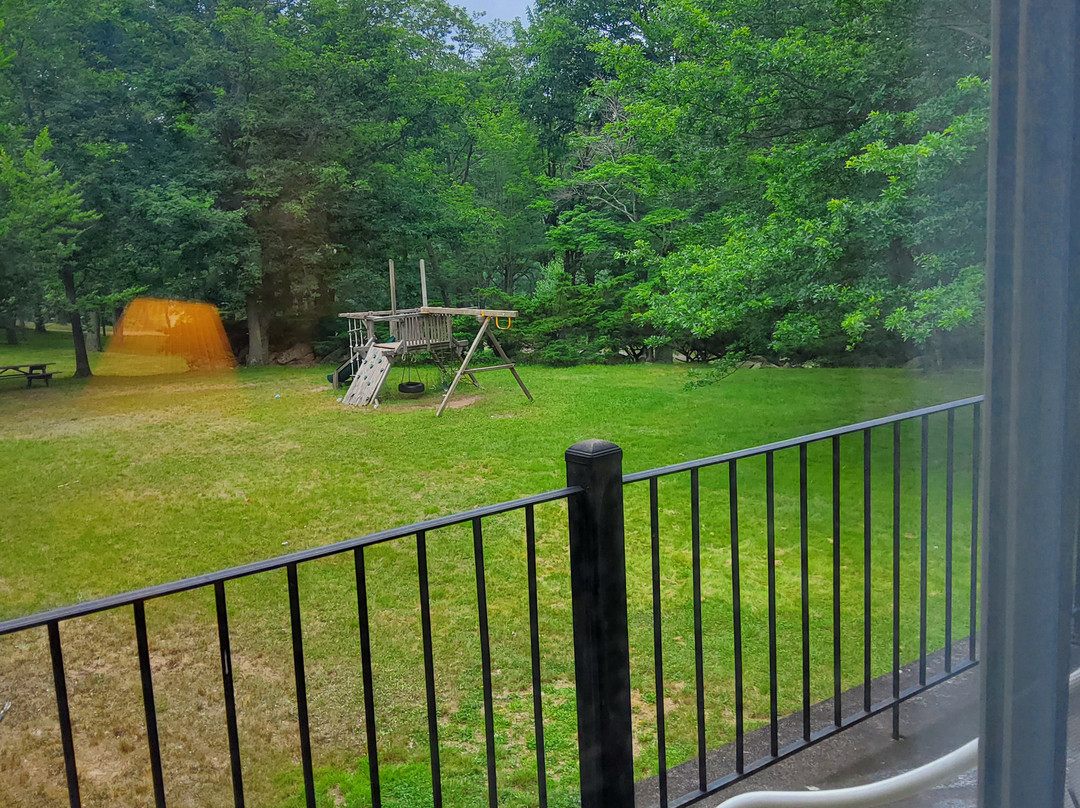 Mountain Laurel Resort主图