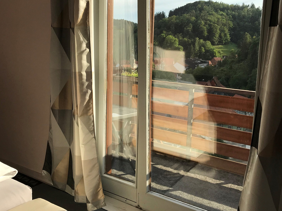 Hotel Pension Waldhaus主图